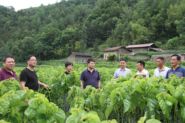 安康市商務(wù)局領(lǐng)導來我公司調(diào)研春蠶收購及扶貧點蠶?；亟ㄔO(shè)情況